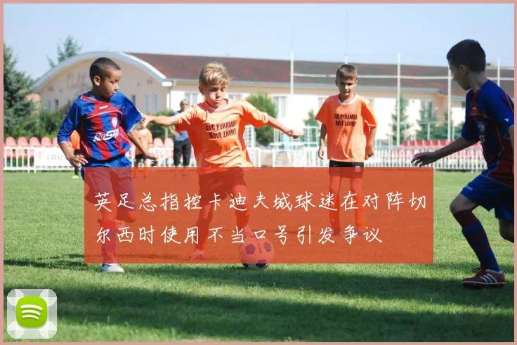 英足总指控卡迪夫城球迷在对阵切尔西时使用不当口号引发争议